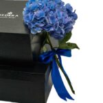 هارد باکس - بسته بندی کادوئی