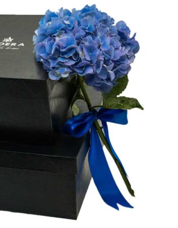 هارد باکس کادویی و هدیه