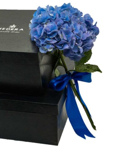 هارد باکس - بسته بندی کادوئی